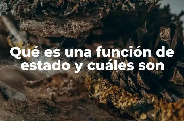 Qué es una Función de Estado y Cuáles Son