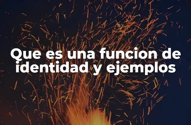 Que es una Funcion de Identidad y Ejemplos