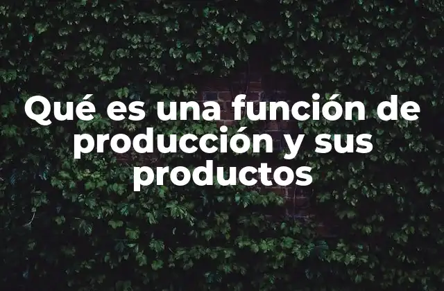 Qué es una Función de Producción y Sus Productos