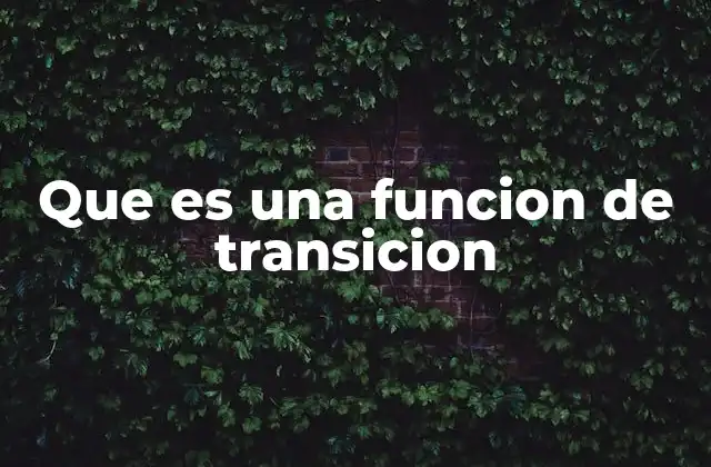 Que es una Funcion de Transicion