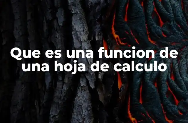 Que es una Funcion de una Hoja de Calculo