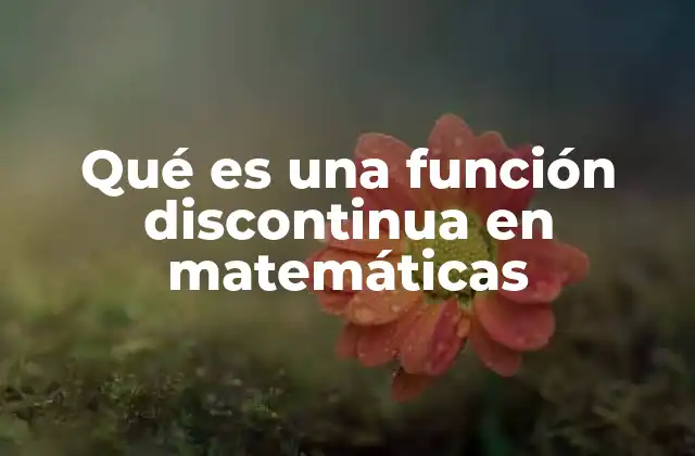 Tipos de discontinuidades en funciones matemáticas