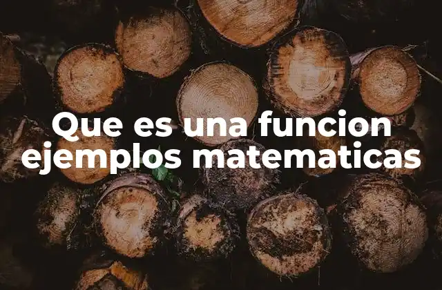 Que es una Funcion Ejemplos Matematicas
