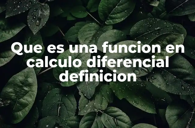 Que es una Funcion en Calculo Diferencial Definicion