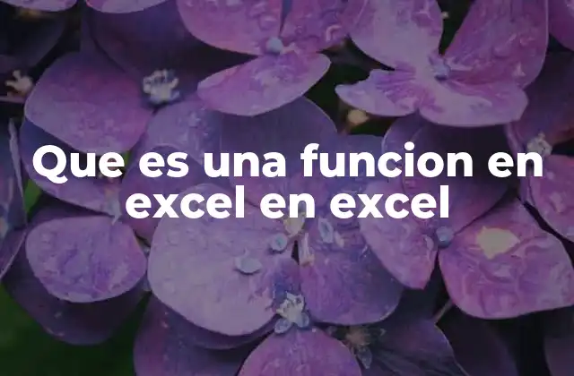 Que es una Funcion en Excel en Excel