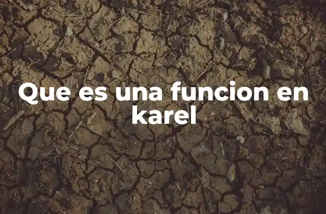 Que es una Funcion en Karel