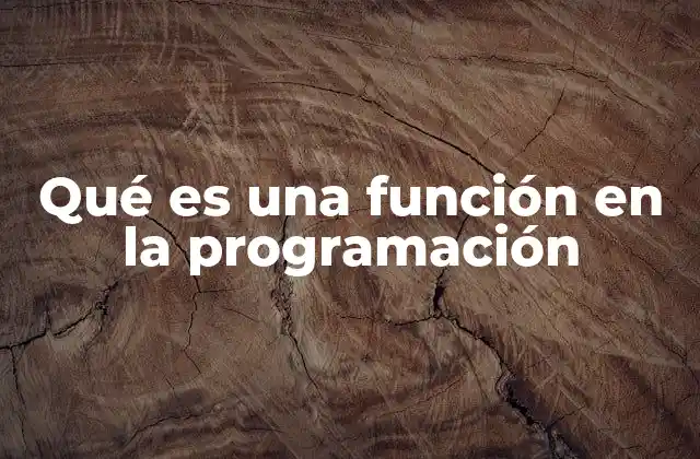Qué es una Función en la Programación