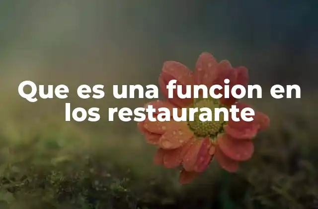 Que es una Funcion en los Restaurante