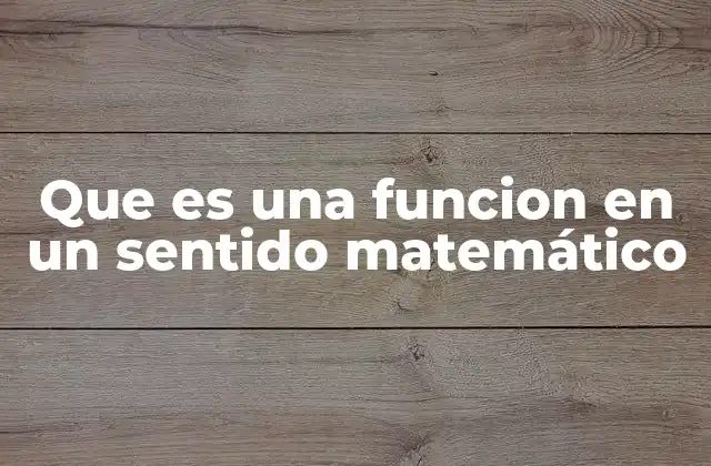 Que es una Funcion en un Sentido Matemático 2 Cómo entender las funciones sin mencionar la palabra clave