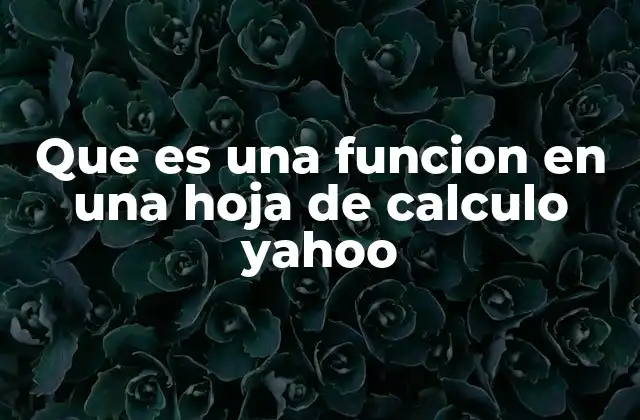 Que es una Funcion en una Hoja de Calculo Yahoo