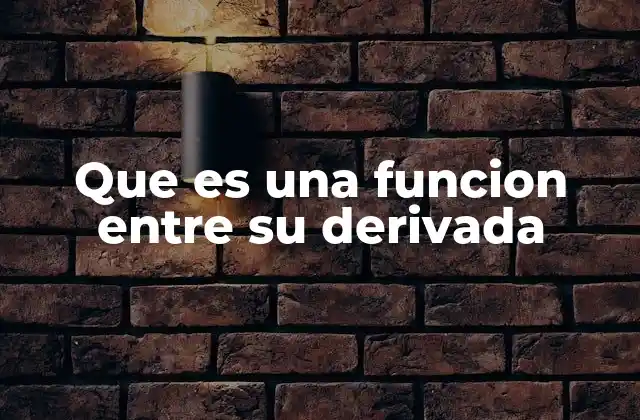 Que es una Funcion entre Su Derivada
