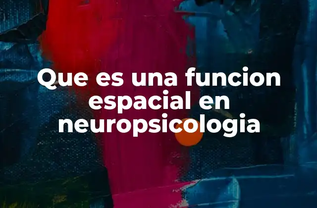 El rol de la percepción espacial en la cognición humana