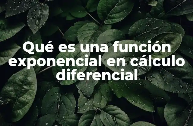 Qué es una Función Exponencial en Cálculo Diferencial