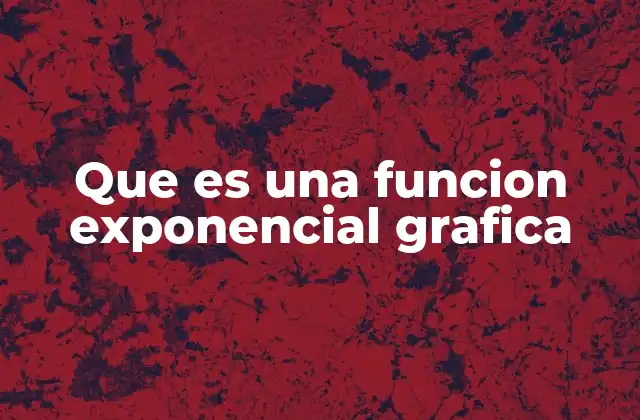 Que es una Funcion Exponencial Grafica