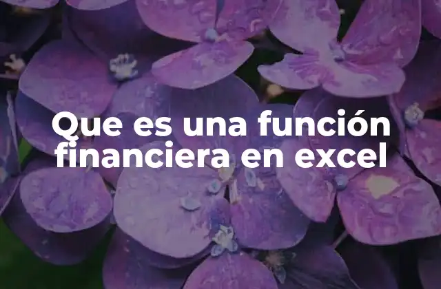 Que es una Función Financiera en Excel