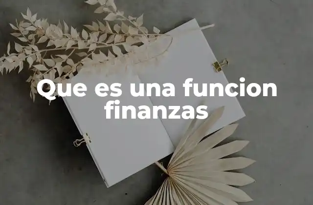 Que es una Funcion Finanzas