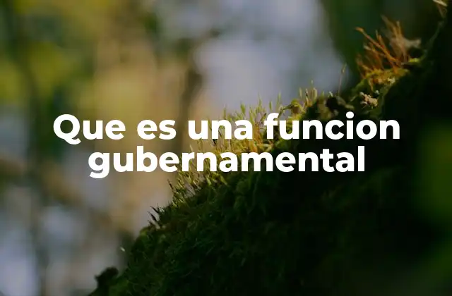 Que es una Funcion Gubernamental