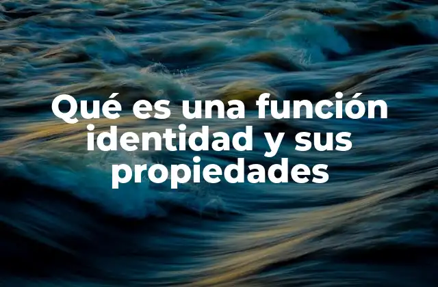 Qué es una Función Identidad y Sus Propiedades