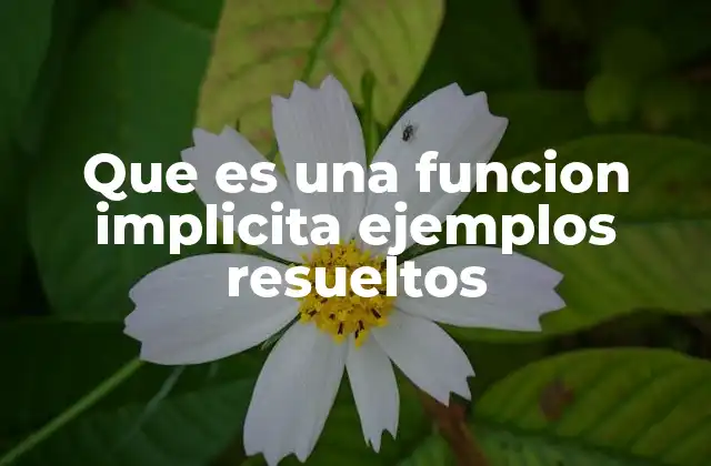 Que es una Funcion Implicita Ejemplos Resueltos 2 Diferencias entre funciones explícitas e implícitas