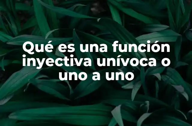 Qué es una Función Inyectiva Unívoca o Uno a Uno