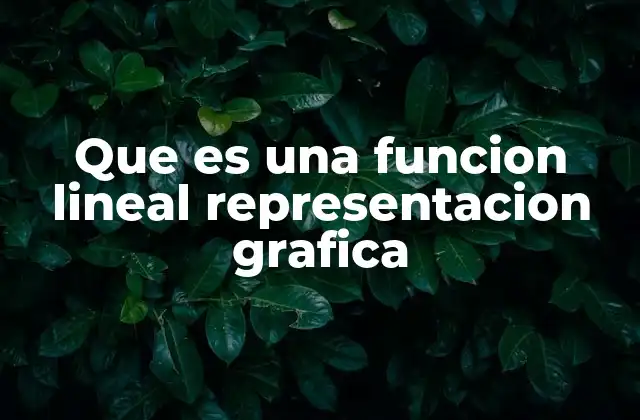 Que es una Funcion Lineal Representacion Grafica