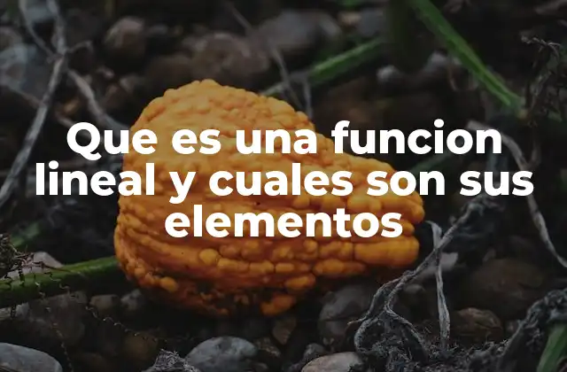 Que es una Funcion Lineal y Cuales Son Sus Elementos