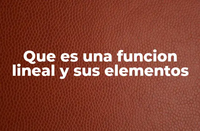 Que es una Funcion Lineal y Sus Elementos