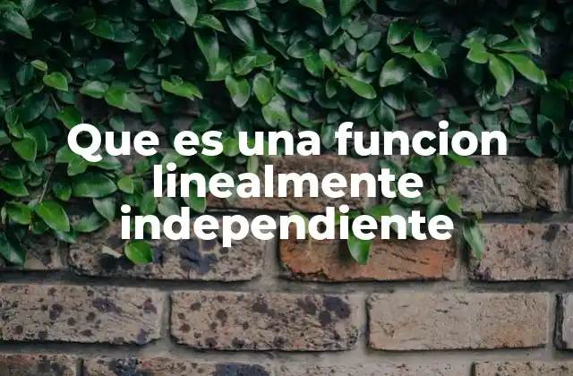 Que es una Funcion Linealmente Independiente