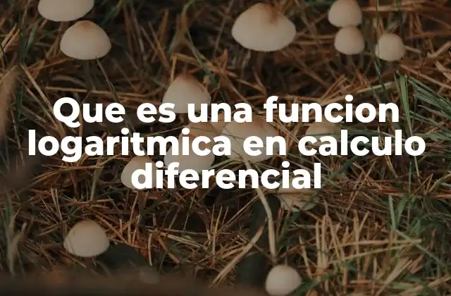 Que es una Funcion Logaritmica en Calculo Diferencial