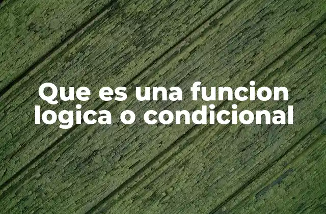 Que es una Funcion Logica o Condicional