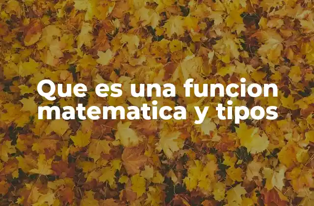 Que es una Funcion Matematica y Tipos