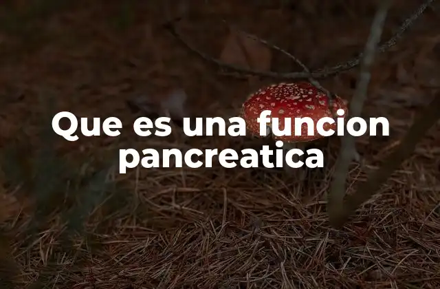 Que es una Funcion Pancreatica