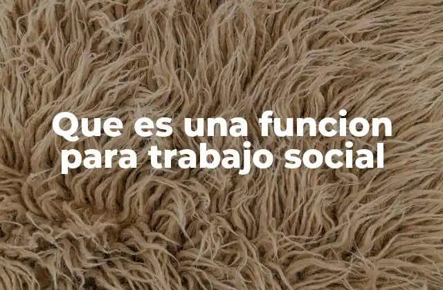 Que es una Funcion para Trabajo Social