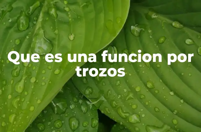 Que es una Funcion por Trozos