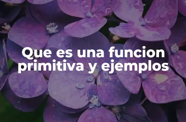Que es una Funcion Primitiva y Ejemplos
