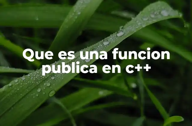 Que es una Funcion Publica en C++