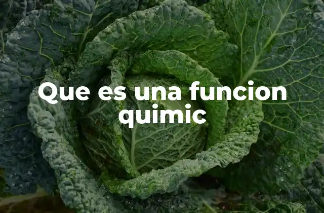 Que es una Funcion Quimic