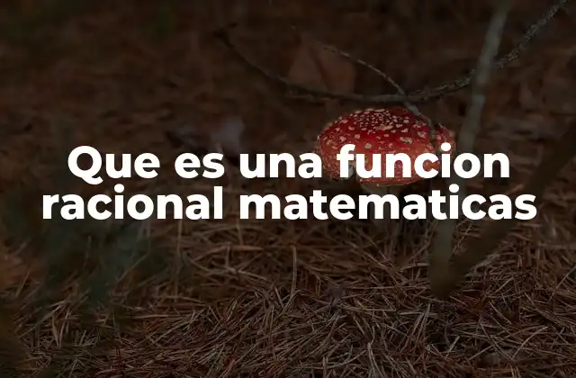 Que es una Funcion Racional Matematicas