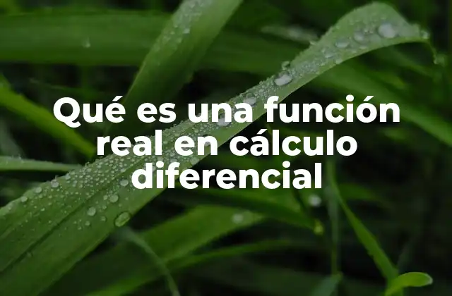 Qué es una Función Real en Cálculo Diferencial