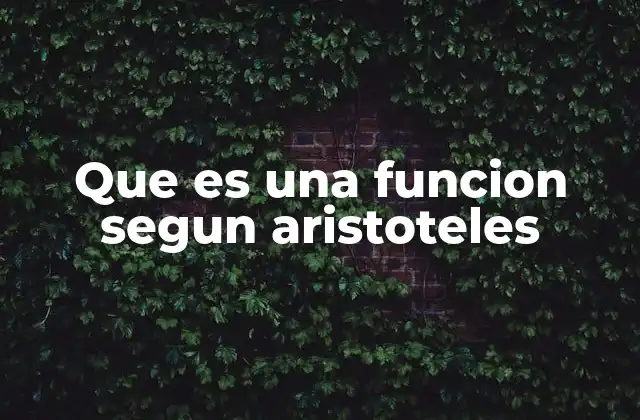 Que es una Funcion Segun Aristoteles