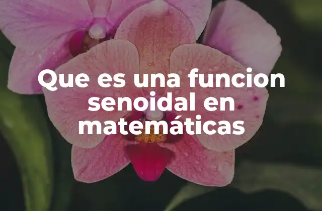 Que es una Funcion Senoidal en Matemáticas