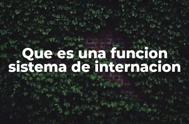 Que es una Funcion Sistema de Internacion