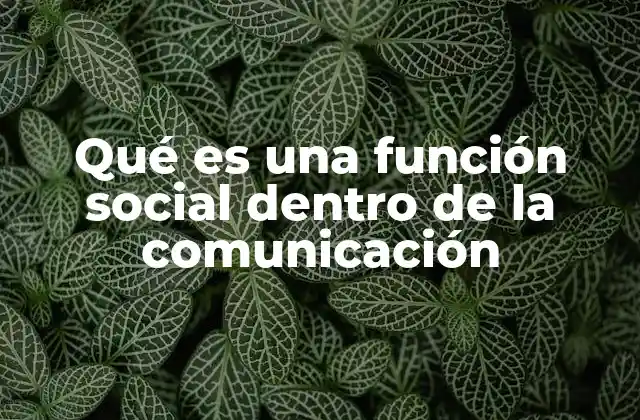 Qué es una Función Social Dentro de la Comunicación