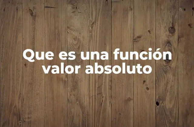 Que es una Función Valor Absoluto