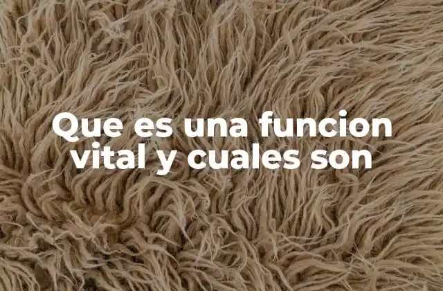 Que es una Funcion Vital y Cuales Son