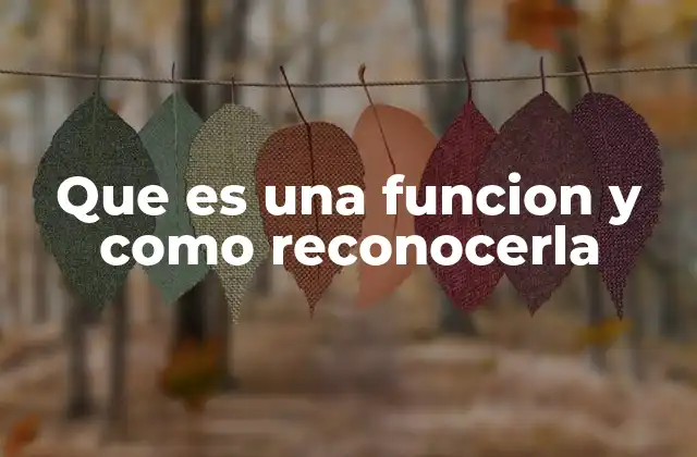 Que es una Funcion y como Reconocerla