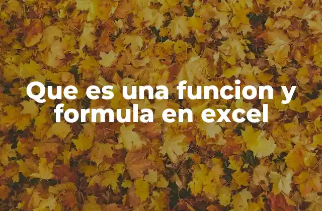 Que es una Funcion y Formula en Excel