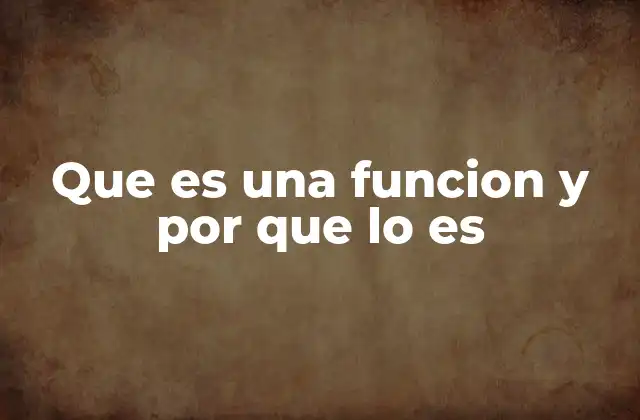 Que es una Funcion y por que Lo es