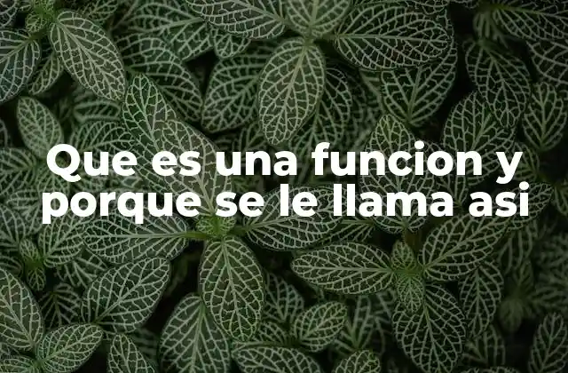 Que es una Funcion y Porque Se Le Llama Asi