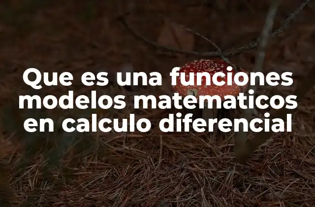 Aplicaciones de las funciones en cálculo diferencial sin mencionar directamente el término